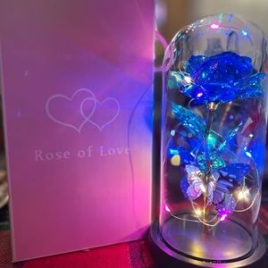 Nice butterfly 🦋 blue flower